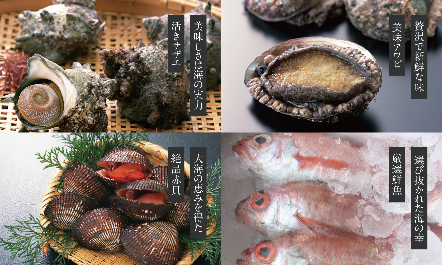美味しさは海の実力活きサザエ。贅沢で新鮮な味美味アワビ。大海の恵みを得た絶品赤貝。選び抜かれた海の幸厳選鮮魚。