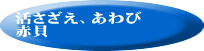 活さざえ、あわび 赤貝